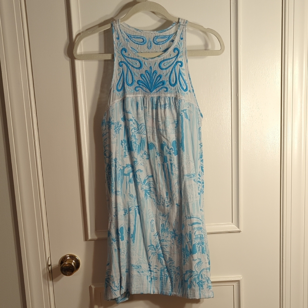 Blue and White Sleeveless Dress